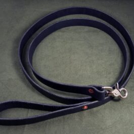 a blue leash with a metal hook on it.